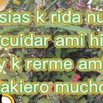 Las mejores frases para alegrar a tu nuera y a tu hijo en su boda